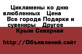 Цикламены ко дню влюбленных › Цена ­ 180 - Все города Подарки и сувениры » Другое   . Крым,Северная